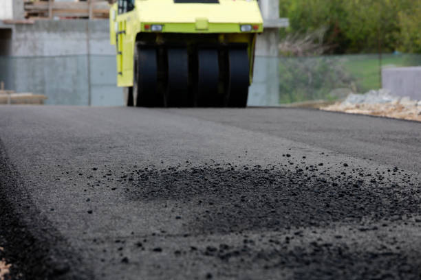 Best Local Driveway Pavers  in Robins Af, GA
